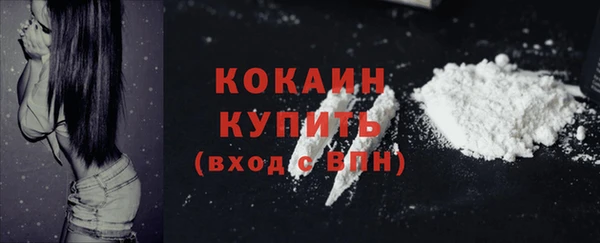 шишки Балахна