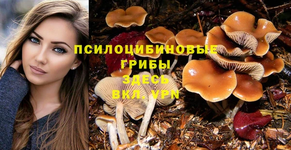 шишки Балахна